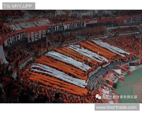 山东鲁能与重庆力帆在中超联赛中的对决历史