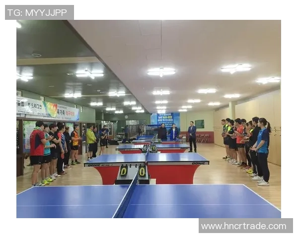 乒乓球深度解析：杭州乒乓球队如何实现中路突破的成功之道