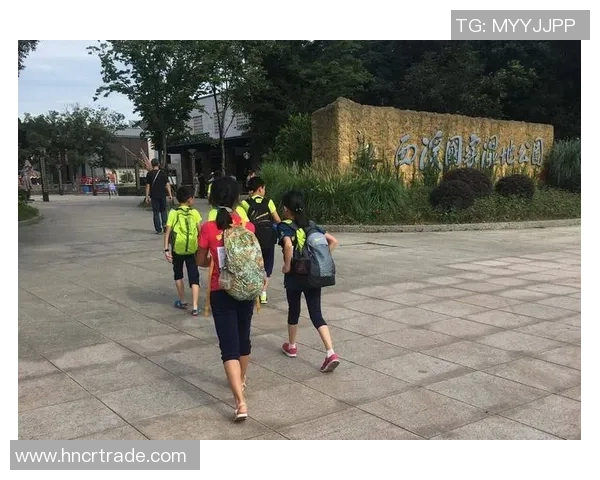 广州攀岩队实力深度解析及与其他队伍的全面对比分析