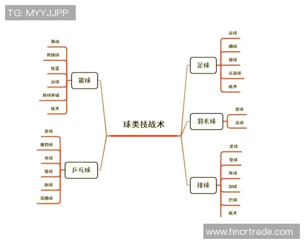 杭州排球队整体压制打法深度分析与战术解读 杭州排球队整体压制打法深度分析与战术解读