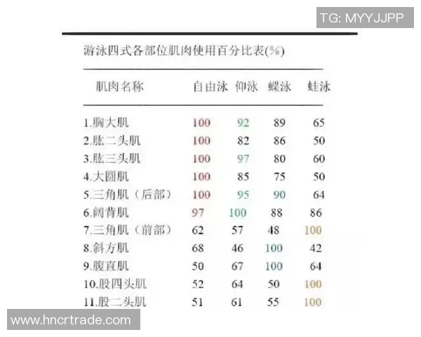 探索四大泳姿技巧与特点全面解析，提升游泳水平的关键指南