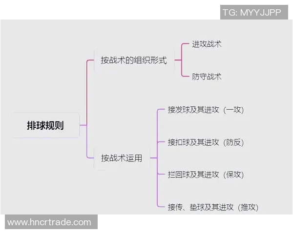 上海排球队进攻策略解析与战术创新的深度剖析 上海排球队进攻策略解析与战术创新的深度剖析